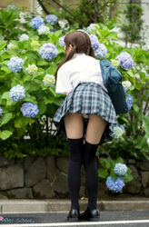 japanese schoolgirl panty pics. Photo #6